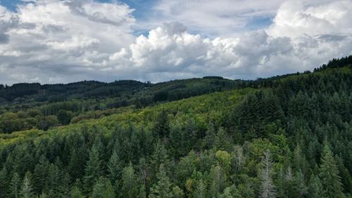DJI_4090.JPG
